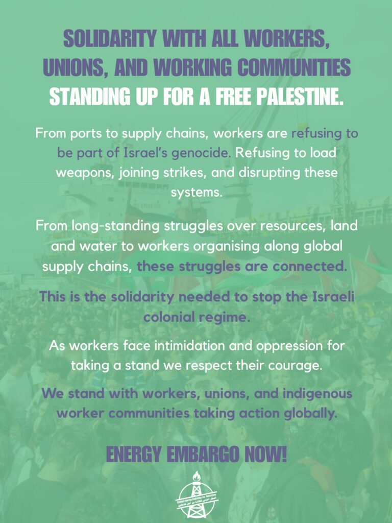 Instagram post from palenergyembargo. This post is in position 1.